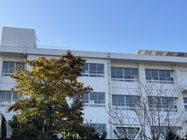 中学校